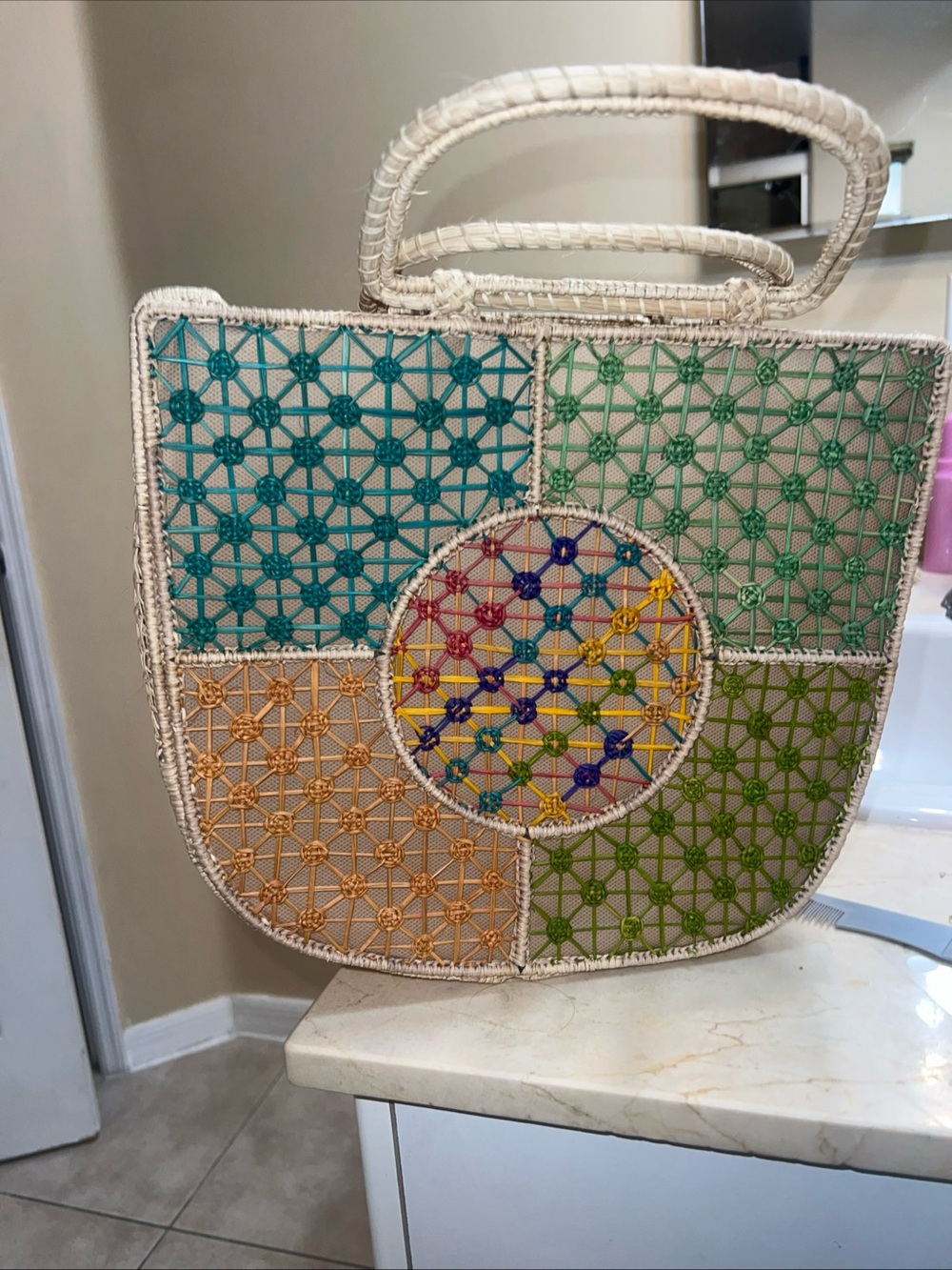 Iraca Palm hand bag Woven Top Handle Hand Made Straw Multicolor